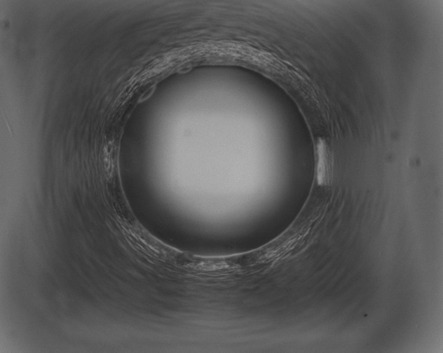 X0000086291491200704090942