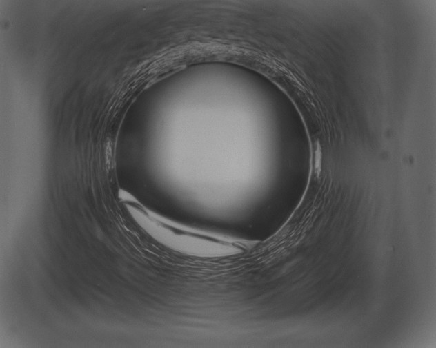 X0000086291492200704090942