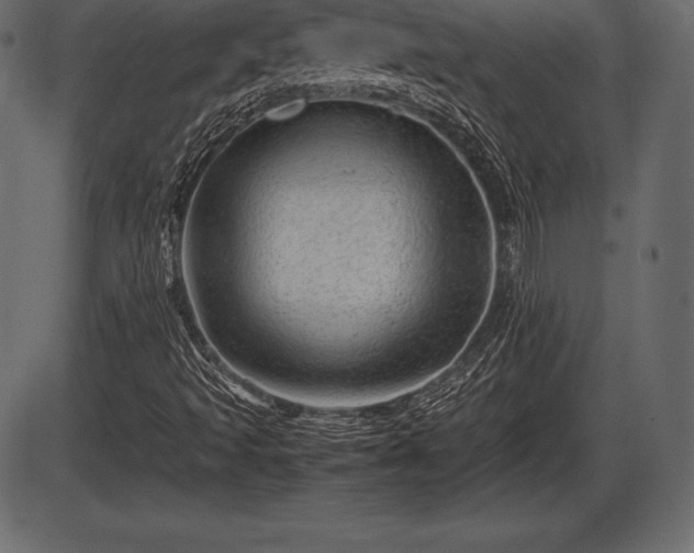 X0000086291493200704090942