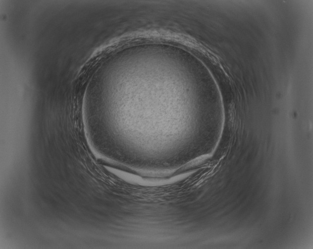 X0000086291494200704090942