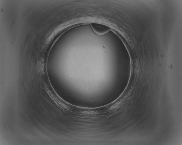 X0000086291499200704090942