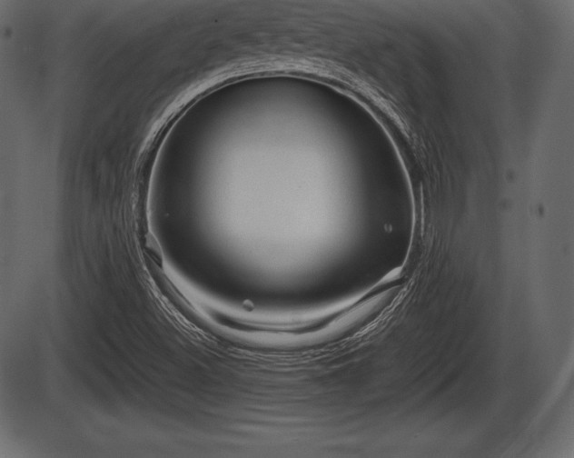 X0000086291500200704090942