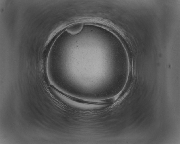 X0000086291501200704090942