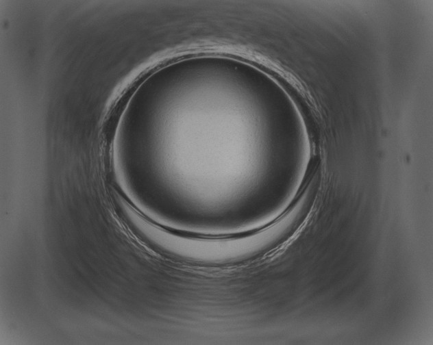 X0000086291502200704090942