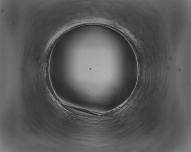 X0000086291504200704090942