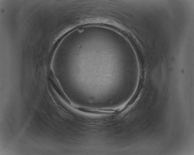 X0000086291505200704090942