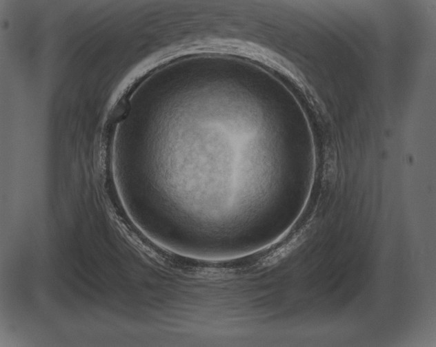 X0000086291506200704090942