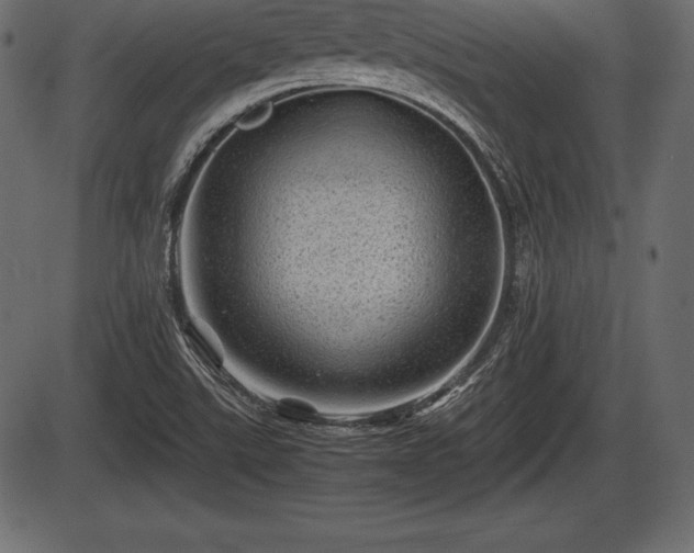 X0000086291507200704090942