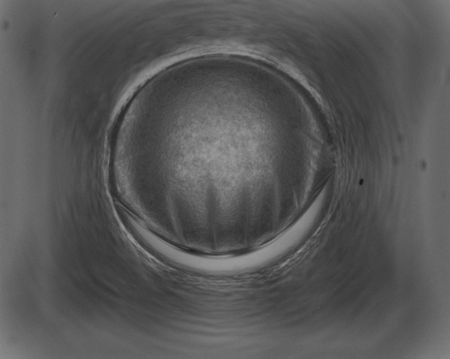 X0000086291508200704090942