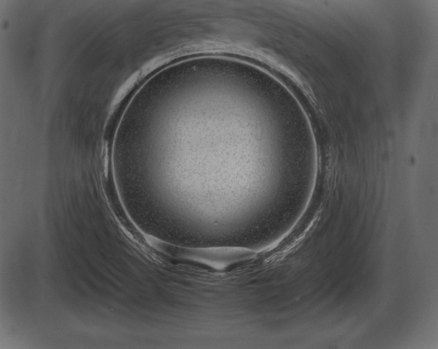 X0000086291509200704090942