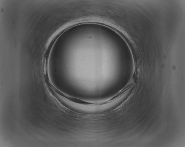 X0000086291510200704090942