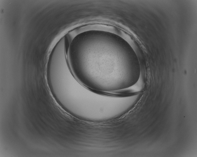 X0000086291512200704090942