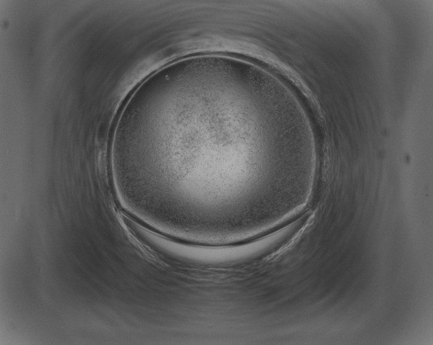 X0000086291513200704090942