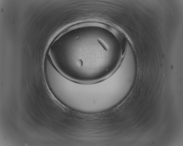 X0000086291516200704090942