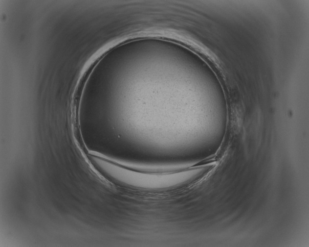 X0000086291517200704090942