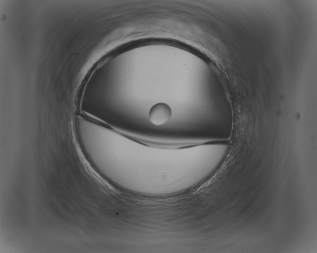 X0000086291518200704090942