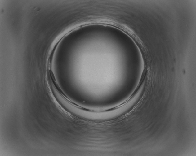 X0000086291520200704090942