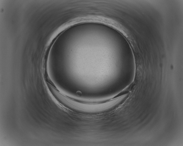 X0000086291523200704090942