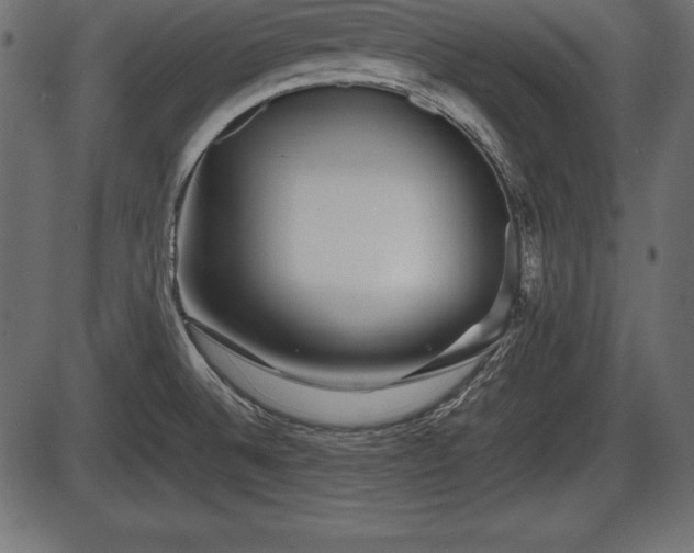 X0000086291524200704090942