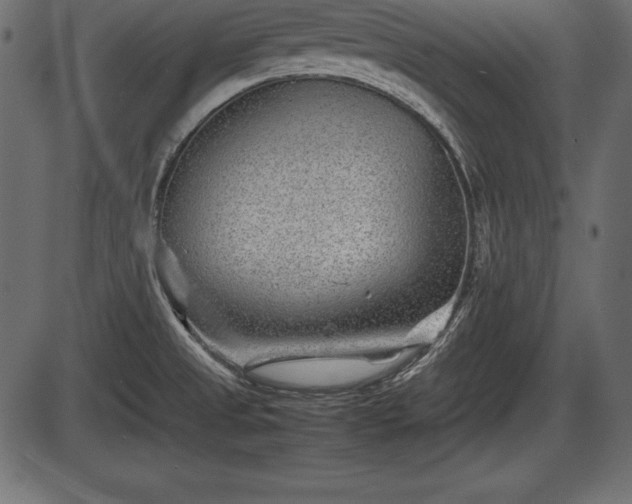 X0000086291525200704090942