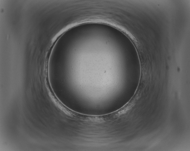X0000086291526200704090942