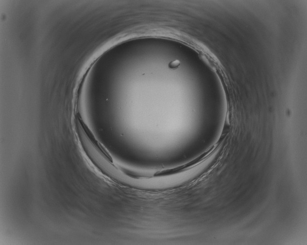 X0000086291528200704090942