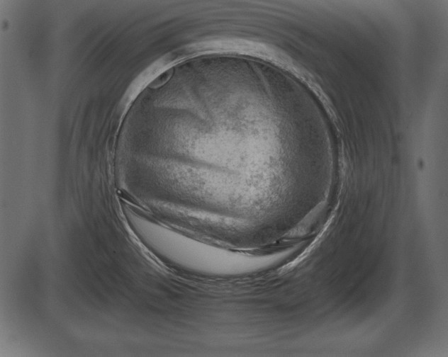 X0000086291529200704090942