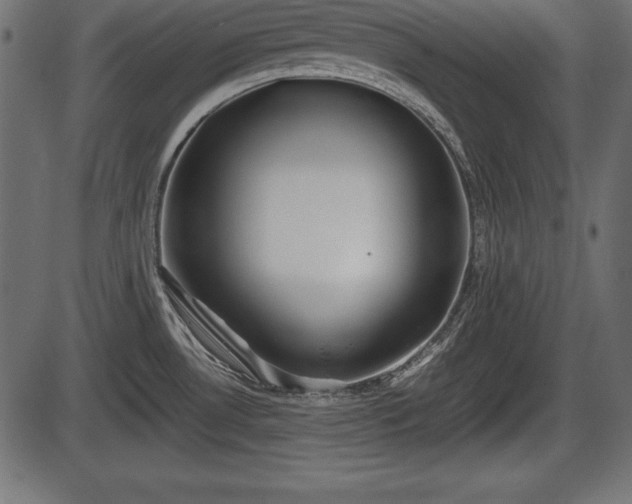 X0000086291530200704090942