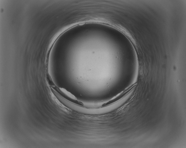 X0000086291532200704090942