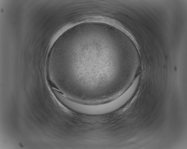 X0000086291533200704090942
