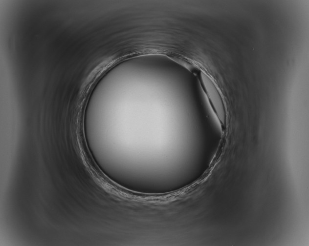 X0000086290001200704131558