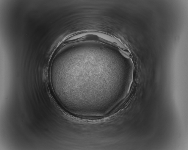 X0000086290002200704131558