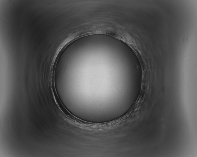 X0000086290003200704131558