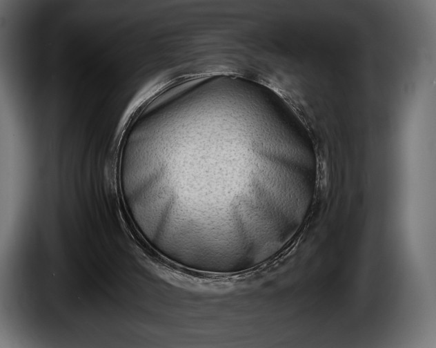X0000086290004200704131558