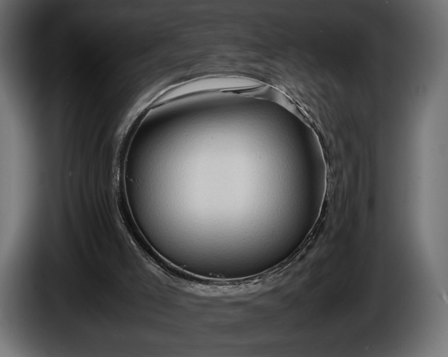 X0000086290005200704131558