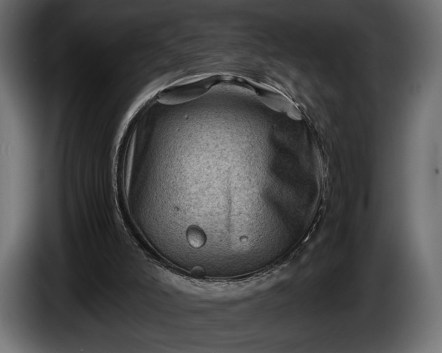 X0000086290006200704131558
