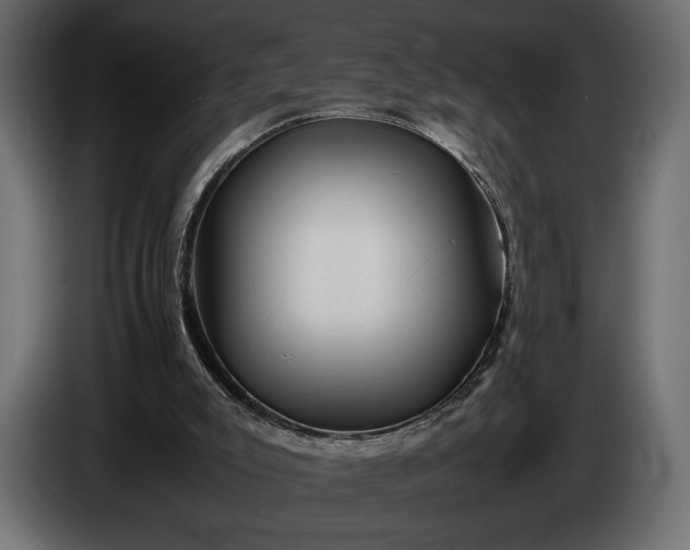X0000086290007200704131558