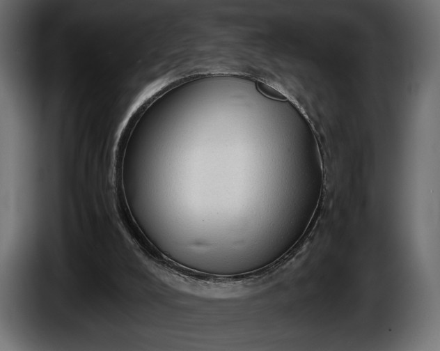 X0000086290008200704131558