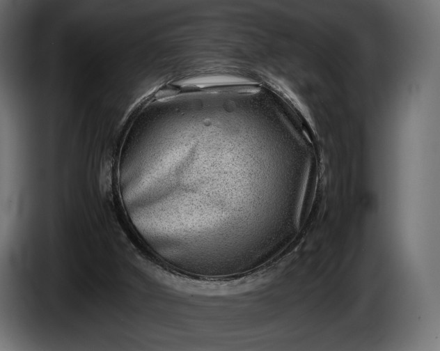X0000086290010200704131558