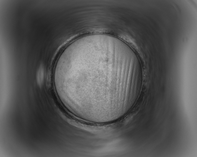 X0000086290012200704131558