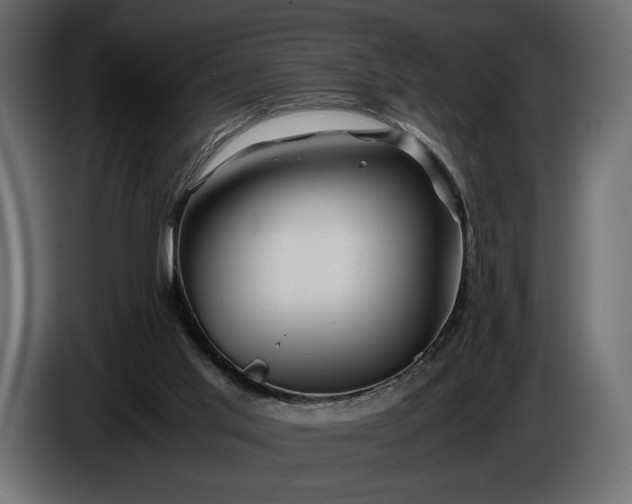 X0000086290013200704131558