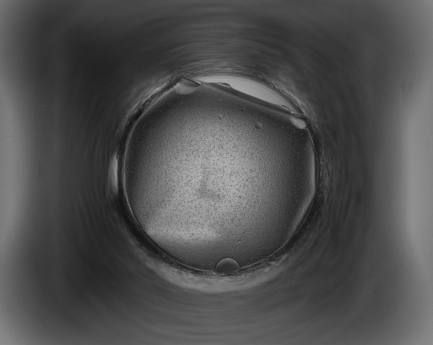 X0000086290014200704131558