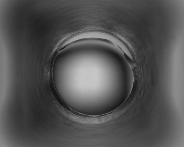X0000086290015200704131558