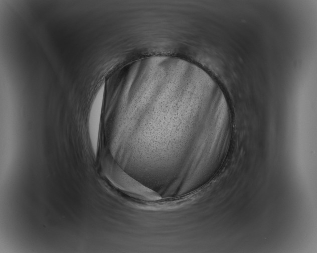 X0000086290017200704131558