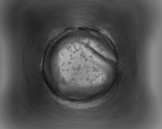 X0000086290018200704131558