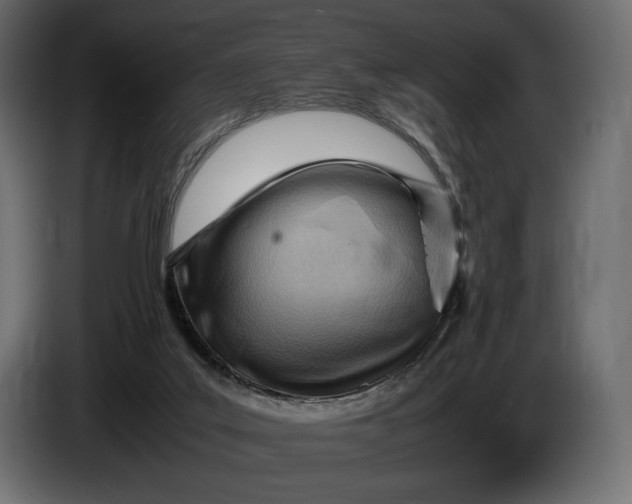 X0000086290019200704131557