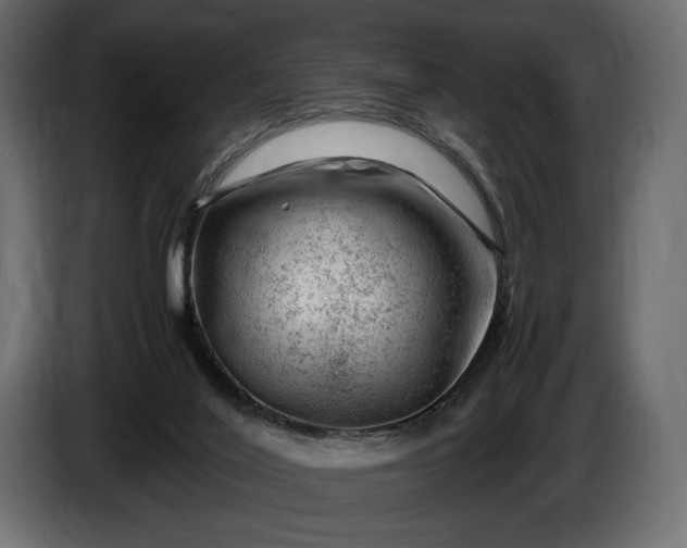 X0000086290020200704131557