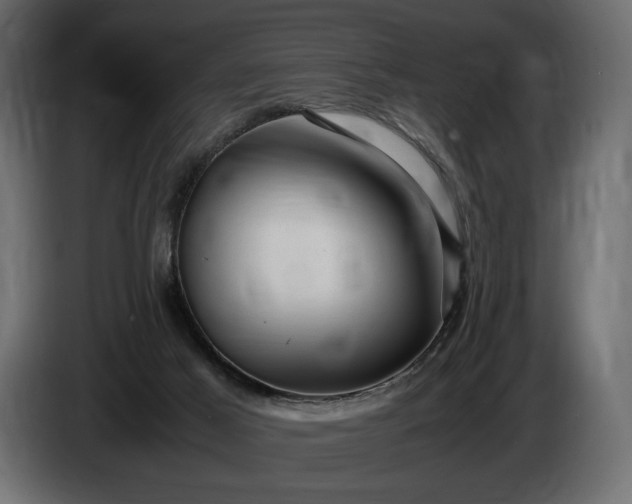 X0000086290021200704131557