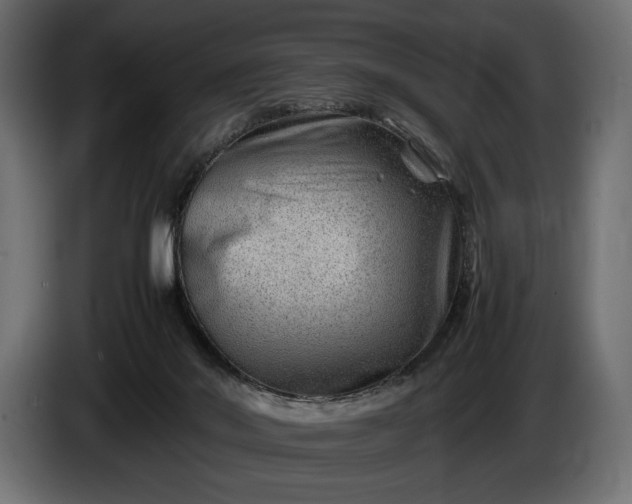 X0000086290022200704131557