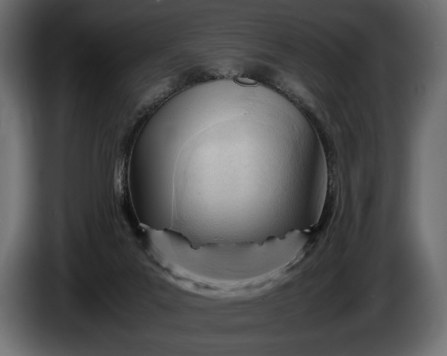 X0000086290023200704131557